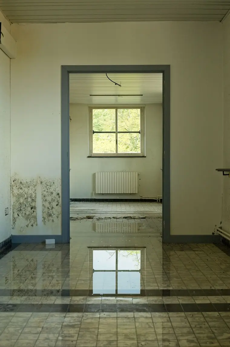 Standing water across a tiled floor, black mold climbing the wall